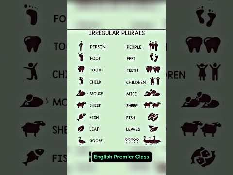 Irregular plurals in English.