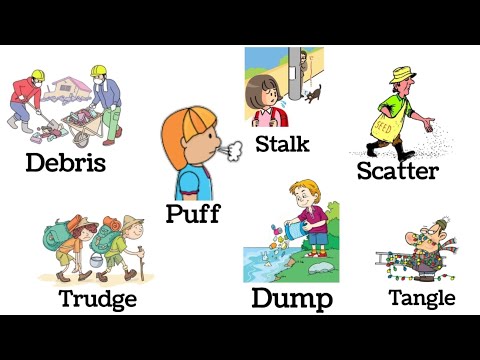 Vocabulary: Vocabulary in English | English Vocabulary and words with pictures