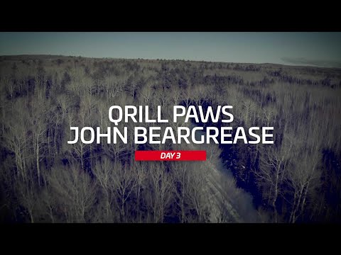 Beargrease Highlight | DAY 3 | QRILLPAWS 2021