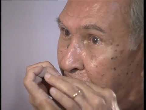 harmonica Legend - The Ultimate Harmonica Player| playing Veraity of mouth organs