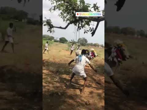 Jallikattu WhatsApp status #travel #jallikattu