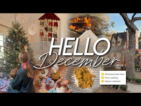 HELLO DECEMBER | getting our tree, cozy cooking, advent activity calendar, & Christmas village🧣