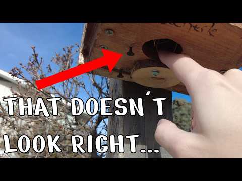 I found a BROKEN Gadget Geocache... (But I was able to fix it!!) | GeoTrek