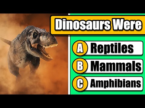 How Much Do You Know About Dinosaurs? Dinosaur General Knowledge Quiz #29