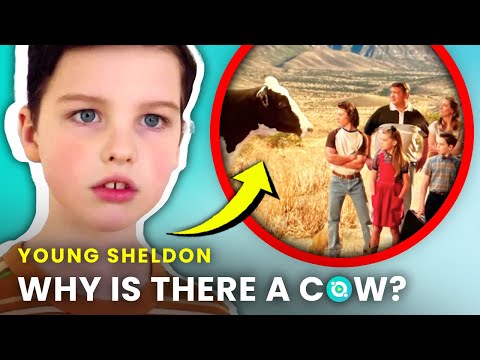 Young Sheldon: 15 Hidden Details You Haven't Noticed | OSSA Movies