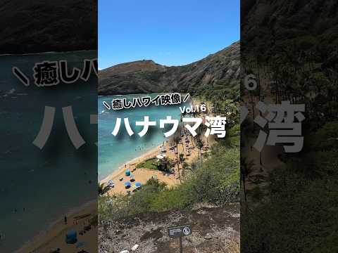 本日の #癒しハワイ 映像は #ハナウマ湾 から！ #ハワイ #ハワイ気分 #ハワイ旅行 #hawaii #hanaumabay #oahu #beach