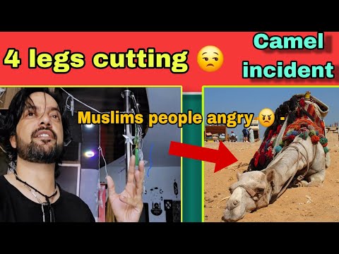 Camel incident in pakistan Angry Muslim people's || Sad news muslim ne liya khul kay badla || #veer