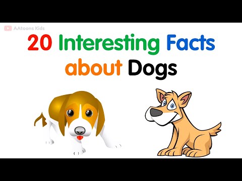 20 Interesting facts about Dog | Facts about Dogs | @AAtoonsKids