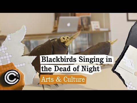 Blackbirds Singing in the Dead of Night