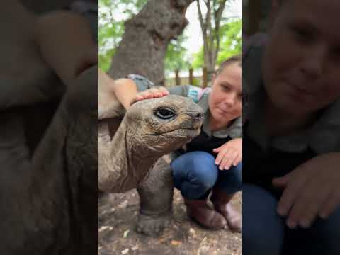 This is George the tortoise - let me show you his beak - he is the coolest big guy! 🐢