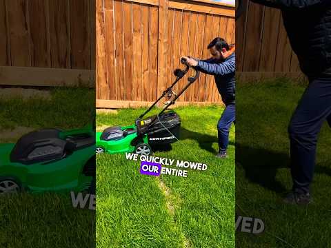 First Time Lawn Mowing in Canada 🇨🇦 #shorts #canadavlogs #canadalife #lifeincanada #calgary