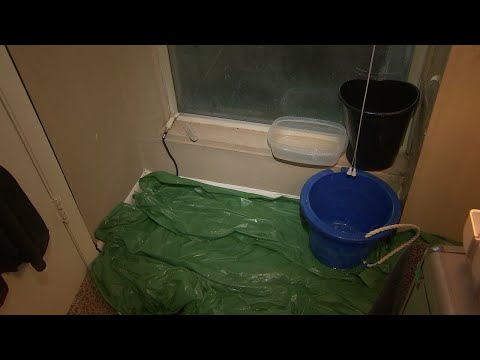 DeKalb woman deals with constant leaks after landlord has skipped repairs since Hurricane Helene