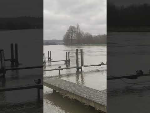 #henleyonthames #riverthames #britishweather #rain #winter #henley #jan2023