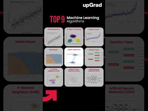 Top 9 Machine Learning Algorithms 2025 | Machine Learning Algorithms for Data Science