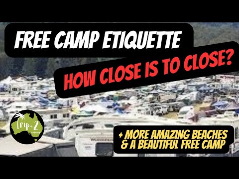 TREES v’s SEA WHERE DO YOU LOVE TO CAMP? | We finally found a FREEBIE | NO KOALAS! - Ep 38