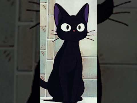 Black Cat Lo-fi 🎶😺