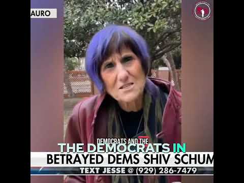 Pelosi FIRES BACK! Schumer BETRAYS Democrats?!