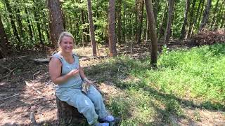 Battle with Nature: From Tree Pile to Timber at Riggins Ridge!