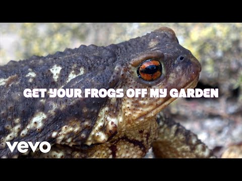 Lost Spider - Get your frogs off my garden (Official Music Video)