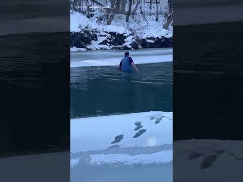 Man Named Chris Macritchie Saves Dog From Freezing River #dogs #heroic