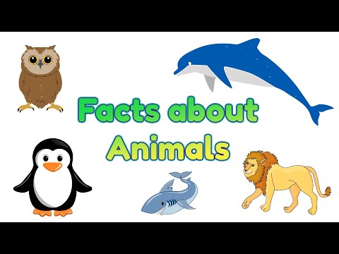 Facts about Animals | Interesting Fun Facts about Animals for Kids | @AAtoonsKids