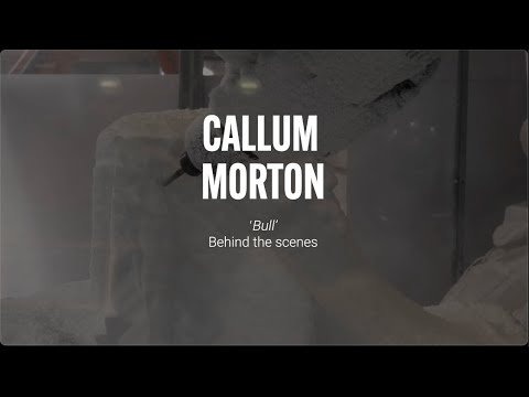 Callum Morton, 'Bull' 2023