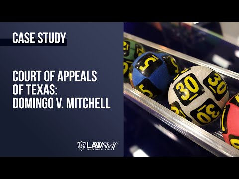 Case Study: Domingo v. Mitchell [Basics of Contract Law]