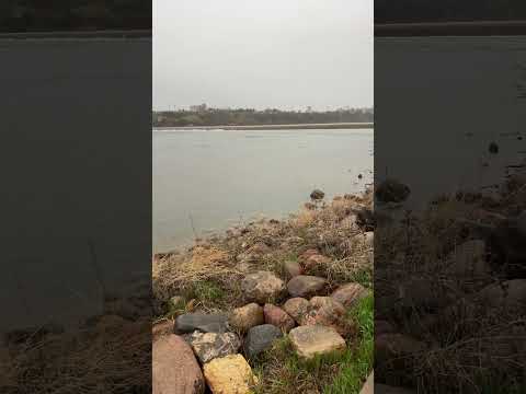 Riverside view south Saskatchewan river #saskatoon #saskatchewan #canada #nature