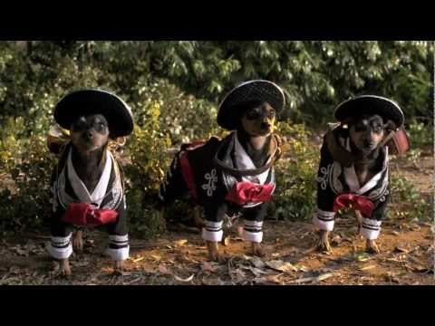 Beverly Hills Chihuahua 3 Trailer #1