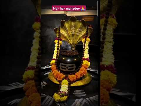 मेरे शंकरा 🙏 mahadev status video #mahadev#mahakal#bholenath#status#short#whatsappstatus#status#song