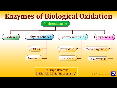 1: Enzymes of Biological Oxidation | Biological oxidation | Biochemistry | N'JOY Biochemistry