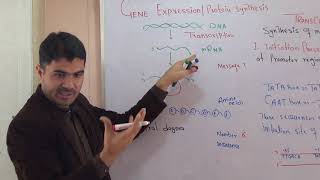 L-6 Transcription (Gene Expression) Protein synthesis part #1 in detail Urdu hindi  by Dr Hadi