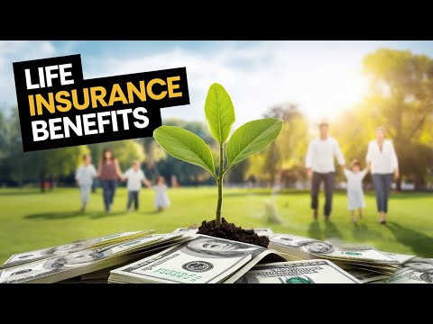 Discover The Power Of Life Insurance Living Benefits