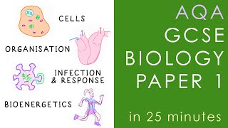 All of AQA BIOLOGY Paper 1 in 25 minutes - GCSE Science Revision