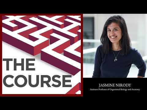 Episode 127 - Jasmine Nirody: "A career where I can learn things all the time."