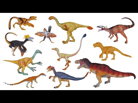 Feathered Dinosaurs 2 - The Kids' Picture Show