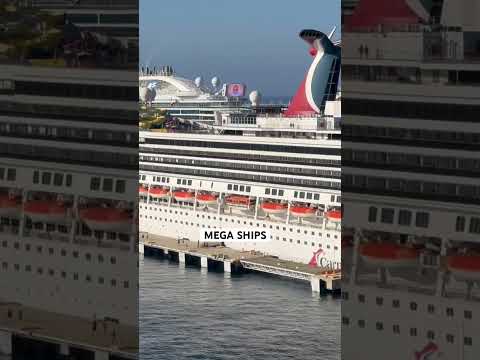 LARGEST CRUISE SHIPS #shorts #royalcaribbean #carnivalcruise