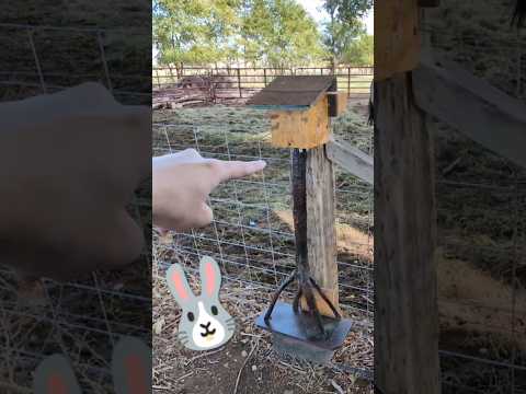 AMAZING Gadget Geocache lowers out of a FAKE tree branch!!