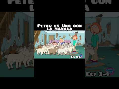 La Manada de Peter 🤣 #familyguy #petergriffin #funny #shorts #shortsfeed #shortsviral