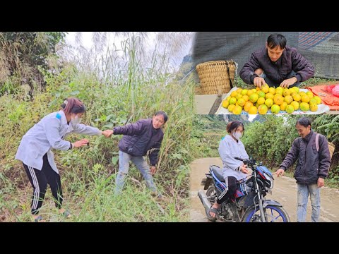 Single dad, harvesting oranges to sell, dating a nurse, confiding and getting into a relationship