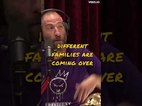 Ari Shaffir Almost Did It Again | Joe Rogan | #shorts