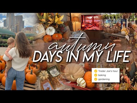 AUTUM DAYS | Trader Joe’s fall haul, autumn gardening, baking apple crisp, & cozy home moments ☕️ 🍁🌙