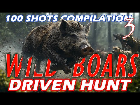 🎯Wild Boar 🐗100 shots compilation 🐗 03