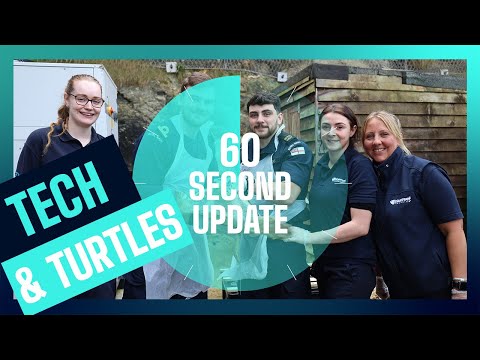 Tech and Turtles | Episode 184 | Royal Navy