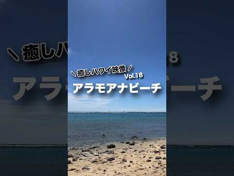 本日の #癒しハワイ 映像は #アラモアナビーチ から！#ハワイ #ハワイ旅行 #アラモアナ #ハワイ気分 #波の音 #hawaii #alamoana #oahu #beach