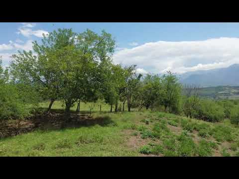 Lote 031- Origen Suroeste Antioqueño - Video 360° Etapa Farallones