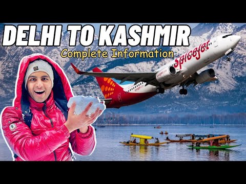 Delhi To Kashmir By Flight ✈️| Delhi To Srinagar Kashmir By Flight Journey | Live Snowfall❄️Kashmir?