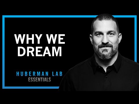 Understand and Use Dreams to Learn and Forget | Huberman Lab Essentials