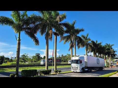 Vamos para o NORDESTE. DAF XF 480