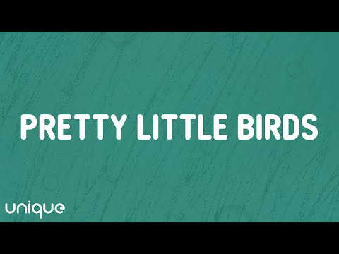 SZA - Pretty Little Birds (Lyrics) ft. Isaiah Rashad